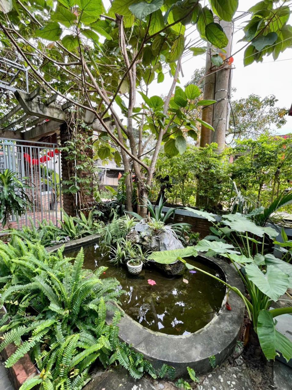 An An Homestay Bungalow Phong Nha Kültér fotó